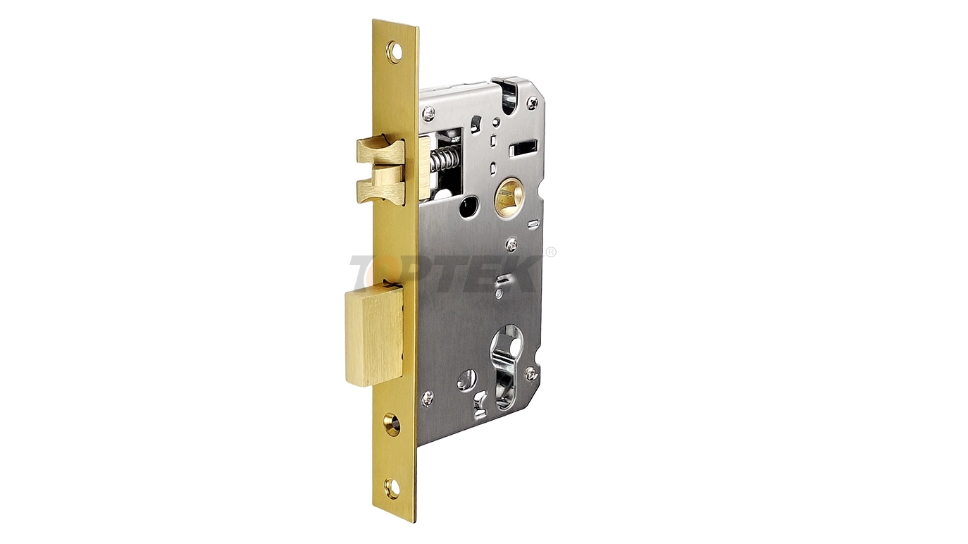 ​What is an EU Mortise Lock?