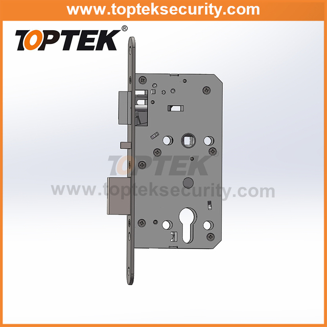 Germany mortise smart lock