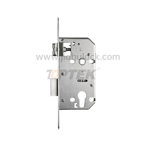 mortise lock smart